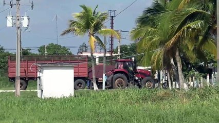 La zafra azucarera cubana no alcanza las 150.000 toneladas, la peor en más de un siglo