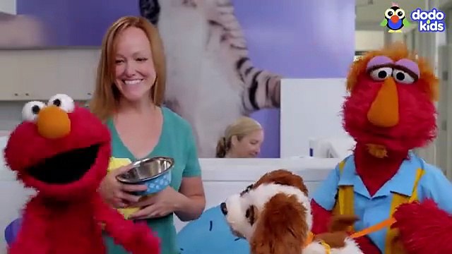 Elmo Helps The Most Energetic Shelter Dog Find Perfect Forever Family With Dodo Kids + Sesame Street