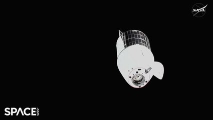 Time-Lapse Of SpaceX CRS-32 Dragon Cargo Spacecraft Approaching ISS