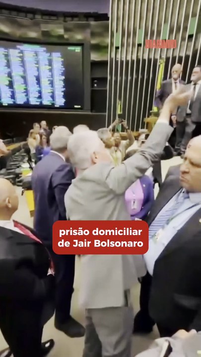 Bolsonaristas catarinenses “causam” durante protestos no Congresso Nacional