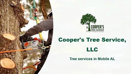 Cooper's tree service,LLC | Tree services in Mobile AL