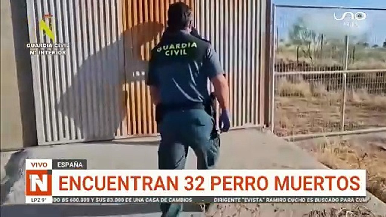 perros españa