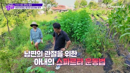 텃밭이 곧 헬스장! 밭일도 운동이 되는 무릎 통증 잡는 마법 같은 중둔근 운동법!