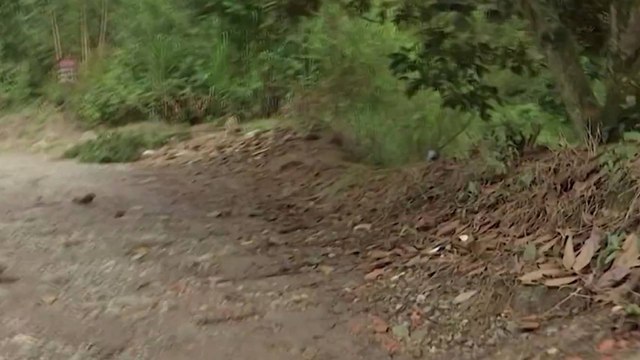 Hallan en Antioquia restos de seis personas desaparecidas en medio del conflicto