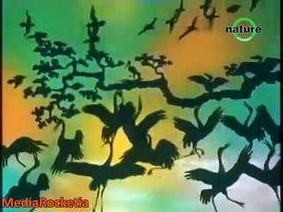 Viasat Nature (Rocketia) - Mở đầu và kết thúc chương trình "Trong thế giới động vật" (1974-2000)