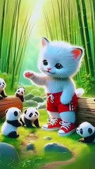 How to man and fish 🐠 for videos the interested videos