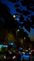 New viral song video Dedication most popular video in Hindi Urdu