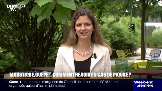 Moustiques, guêpes, abeilles...Comment réagir en cas de piqûre ?