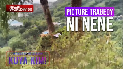 Babaeng nagpi-picture lang, nahulog sa bangin | Dami Mong Alam, Kuya Kim!