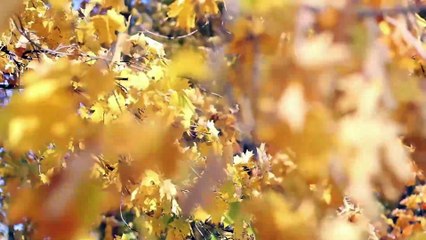 Why your #goals should terrify you? #malayalam