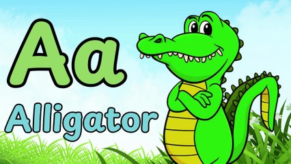 A for Alligator 🐊  ABC Song for Kids  Learn Alphabets with Fun Animation