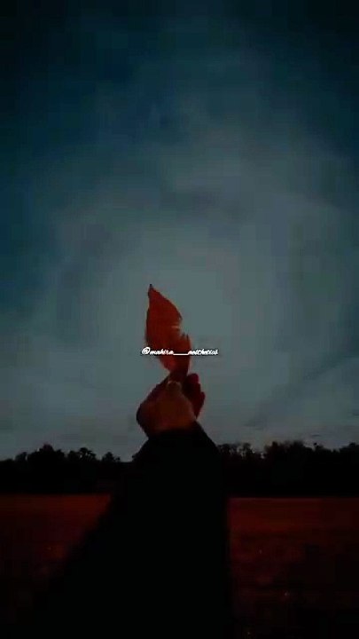 Jab Qismat Us Rab Ne Likhi Hai... #TrustAllah