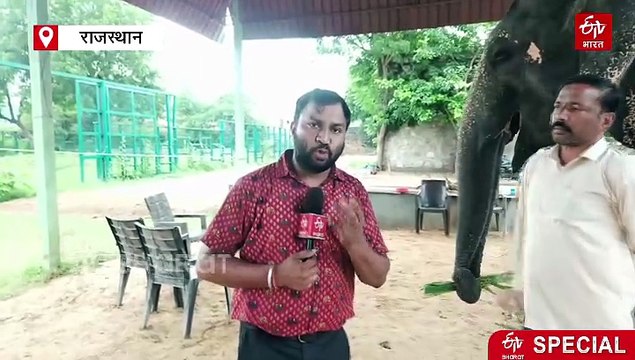 हाथी गांव में अनूठा फैशन शो, 'चंदा' पहनेगी 62 किलो के शाही गहने, बन ठन कर रैंप वॉक करेगी 'मारुति'