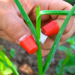 Plant growing hacks for nature lovers 🥬