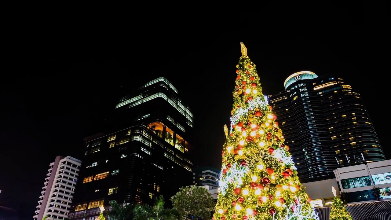 The Holiday Junkie - Official Trailer