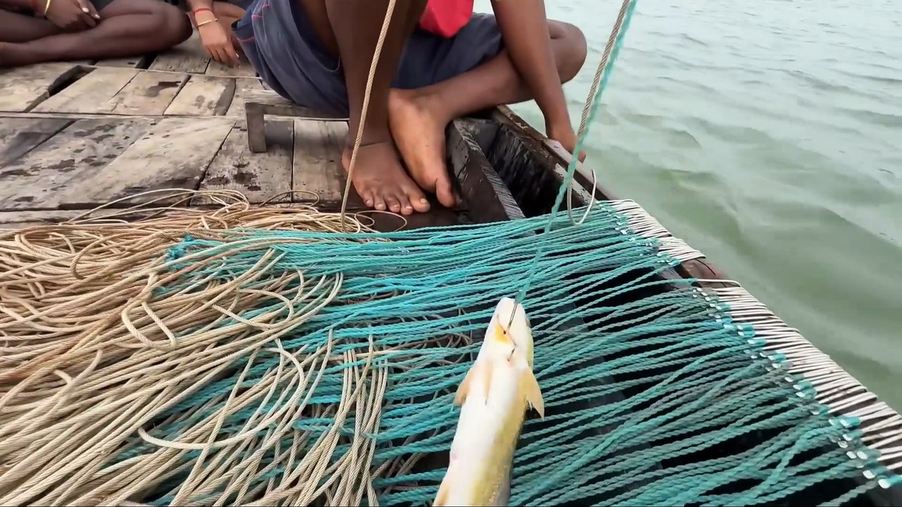 SUNDARBAN DAILY BLOG