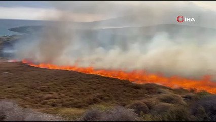Paşalimanı Adası’nda Korkutan Yangın!