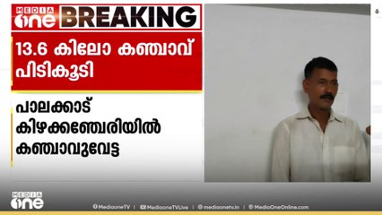 പാലക്കാട് കിഴക്കഞ്ചേരിയിൽ വാടകവീട്ടിൽ സൂക്ഷിച്ച 13.6 കിലോ കഞ്ചാവുമായി ഒരാൾ പിടിയിൽ