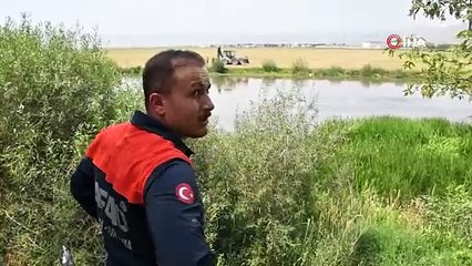 Kura nehrine düşerek boğulan inek can verdi