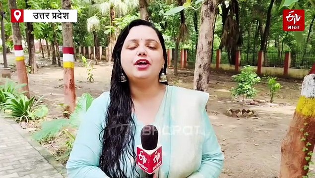 यूपी में रक्षाबंधन का उल्लास, बहनें कर रही भाई की लंबी उम्र की प्रार्थना; सीएम योगी ने भी दी सभी को राखी की बधाई