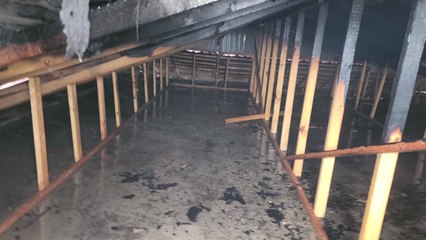 포천 주택 지붕에서 화재...말벌집 태우다가 불 / YTN