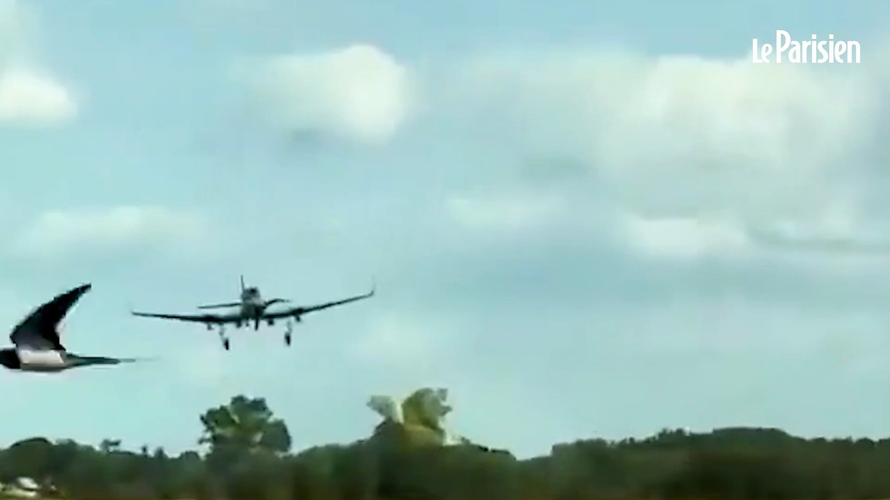 Kiev modifie un petit avion à hélices pour y intégrer des missiles