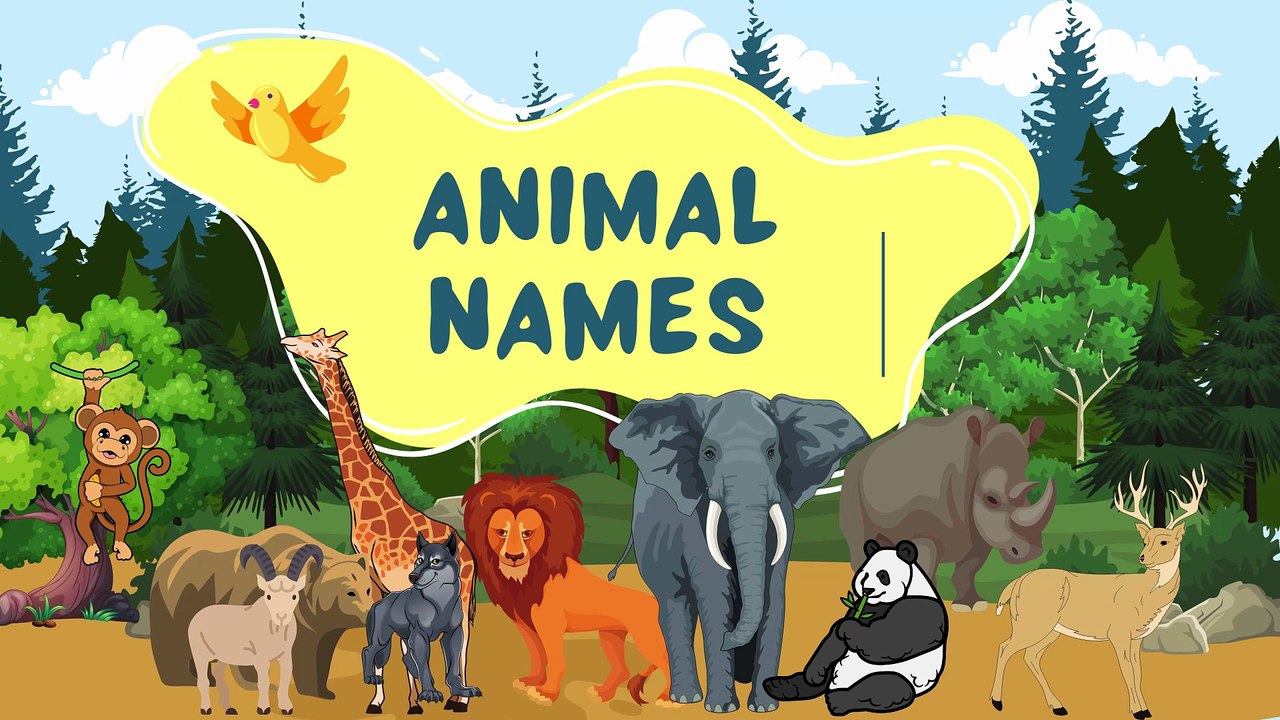Light Blue and Green Playful Animal Names Presentation