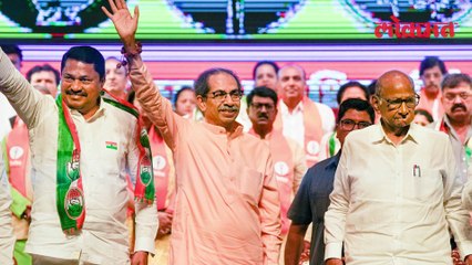 ठाकरे भावांच्या युतीवर शरद पवारांचा महायुतीला टोला