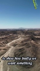 The brick walls are there for a reason  #echoquotes #viral