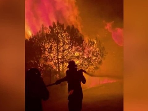 Waldbrand in Griechenland ausgebrochen: Internationale Hilfe benötigt