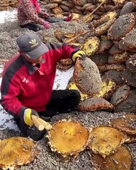 Working gadgets that make your working life a little easier!