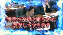 【吉川里奈】夫婦別姓問題強行突破しようとしたド左翼脳に新人議員が噛みつく【法務委員会】