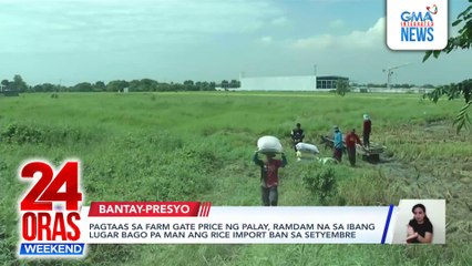 Pagtaas ng farm gate price ng palay, ramdam na sa ibang lugar bago pa ang rice import ban sa Setyembre | 24 Oras Weekend