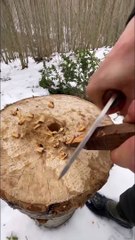 Dana T-Bone 🥩 _ how to make swedish stove