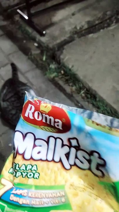 meong doyan roti