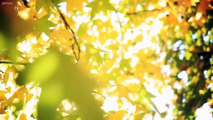 Sunny Mornings: Beautiful Relaxing Music with Piano, Guitar & Bird Sounds by Peder B. Helland