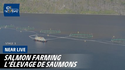 Salmon farming  - Stage 3 - Arctic Race of Norway 2025