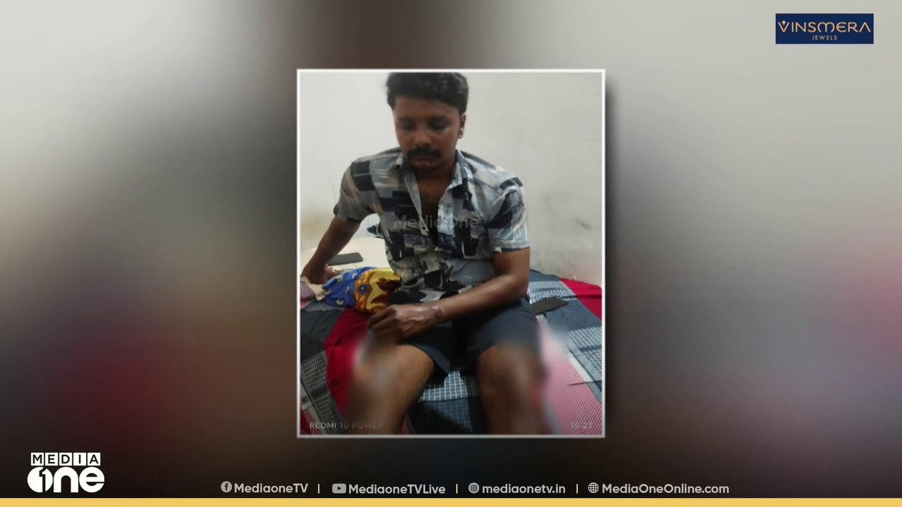 കോട്ടയം തലനാട് മുള്ളൻപന്നി റോഡിന് കുറുകെ ചാടി ബൈക്ക് യാത്രികന് പരിക്ക്