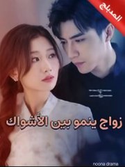 مسلسل زواج ينمو بين الأشواك الحلقة 4