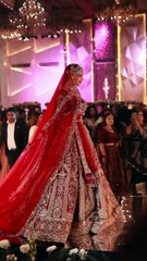 Beautiful Indian bridal entry