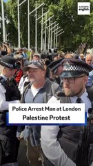 Police Arrest Man At London Palestine Protest