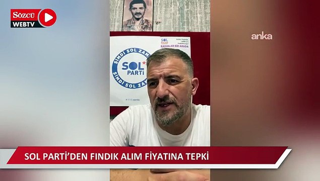 Sol Parti’den fındık alım fiyatına tepki: Üretici yoksulluğa mahkûm ediliyor