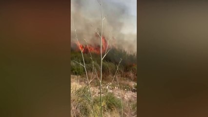 Un incendio divampa in un canneto nel ragusano, le immagini