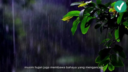Sabana: Pentas Kehidupan dan Pertarungan Antar Spesies part 2