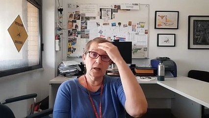 Ma a cosa servono le zanzare? Le spiegazioni della professoressa Della Torre