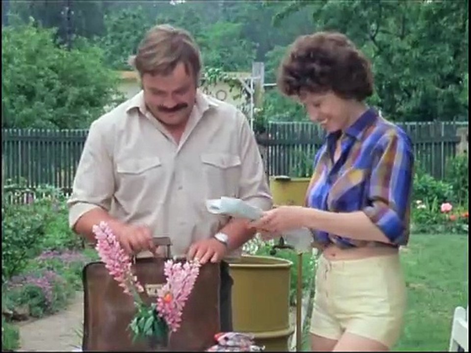 Neues übern Gartenzaun E04-Seitensprünge