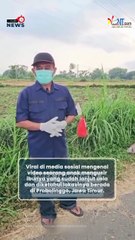 Viral di Medsos Lansia Diusir Anak Kandungnya, Minta Tak Dikabari Jika Meninggal Dunia