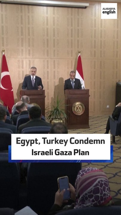 Egypt, Turkey Condemn Israeli Gaza Plan