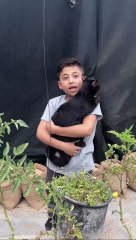 Ahmed the farmer holding a cat