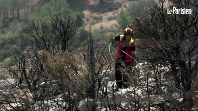 Incendie dans l'Aude : les pompiers luttent contre les reprises